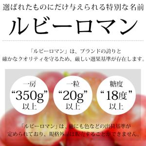 ぶどう ルビーロマン 石川県産 秀品 約700...の詳細画像2