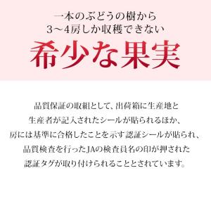 ぶどう ルビーロマン 石川県産 秀品 約700...の詳細画像3