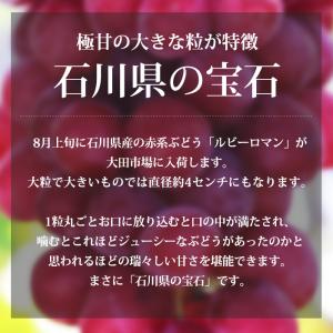 ぶどう ルビーロマン 石川県産 秀品 約700...の詳細画像4