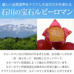 ぶどう ルビーロマン 石川県産 秀品 約700...の詳細画像5