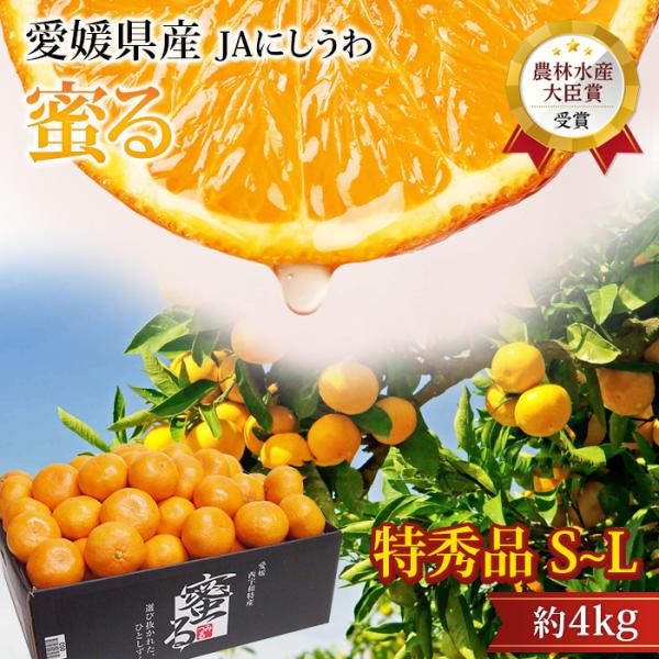みかん 蜜るみかん 蜜る 愛媛県産 特秀品 約4kg S〜Lサイズ 30〜48玉 JA西宇和協賛 爆...