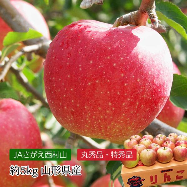 りんご 朝日町のりんご 山形県産 秋陽 シナノスイート 王林 サンふじ 丸秀品 特秀品 約5kg 1...