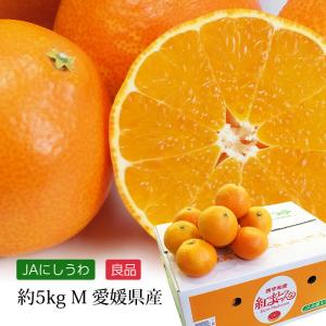みかん 紅まどんな 愛媛県産 良品 約5kg Mサイズ 24〜30玉