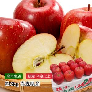 りんご 青森県産 高糖度サンふじ 約3kg 10〜12玉 糖度14度以上