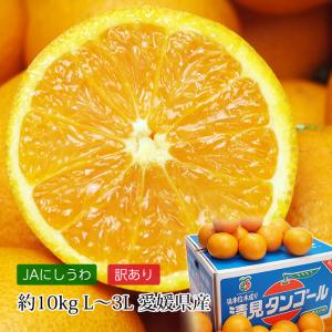 みかん 清見タンゴール 愛媛県産 訳あり 約10kg L〜3Lサイズ 32〜50玉 爆買