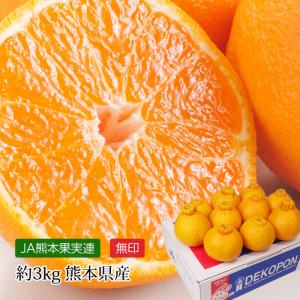 不知火（ デコポン と同品種 ） 熊本産 訳あり ご家庭用 20kg（10kg