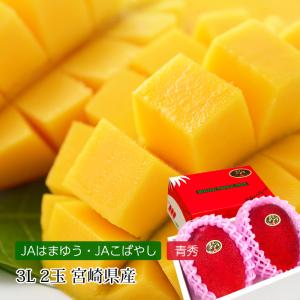 数量限定大特価！！ 宮崎県産 太陽のタマゴ 3L 1箱2玉入り 化粧