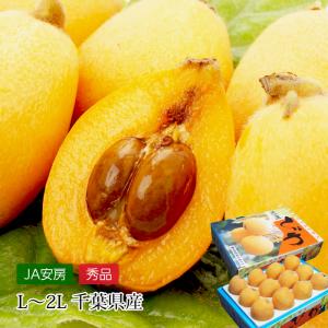 房州びわ 千葉県産 皇室献上びわ 秀品 L〜2Lサイズ 12〜15玉