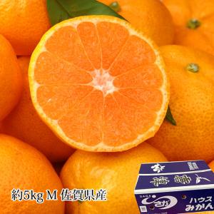 佐賀県産 ハウスみかん （温室みかん） 4〜5玉入り （パック