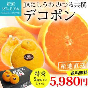 正規品・特秀品です！ デコポン 特秀品 約5kg Lサイズ 24玉 愛媛県 蜜る 糖度14度以上保証