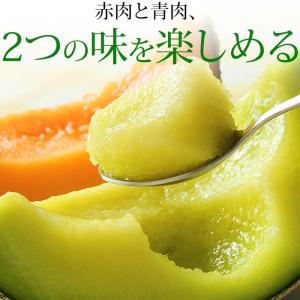 メロン クインシーメロン アンデスメロン エル...の詳細画像2