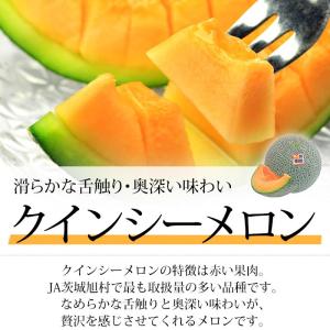 メロン クインシーメロン アンデスメロン エル...の詳細画像3
