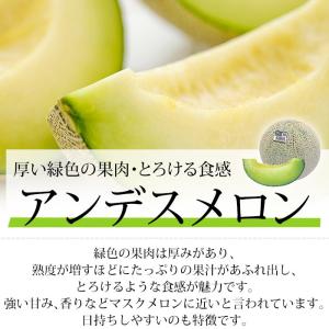 メロン クインシーメロン アンデスメロン エル...の詳細画像4