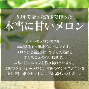 メロン クインシーメロン アンデスメロン エル...の詳細画像5