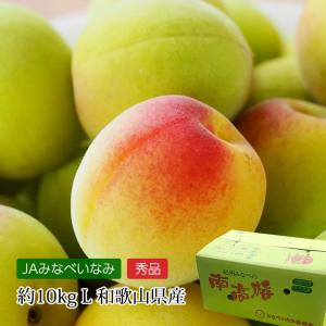 梅 南高梅 和歌山県産 秀品 約10kg : 産直プレミアム - 通販 - Yahoo