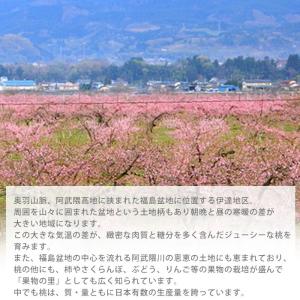 桃 伊達果実もも 福島県産 丸秀品 約2.5k...の詳細画像5