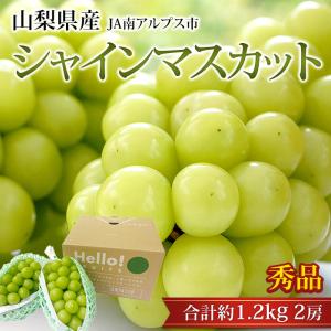 ぶどう シャインマスカット 山梨県産 秀品 約1.2kg 2房 露地栽培 爆買