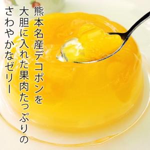 ゼリー デコポンゼリー 熊本県産 6個入 爆買の詳細画像1