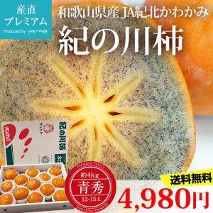 柿 紀の川柿 青秀 約4kg 12〜15玉 和歌山県産