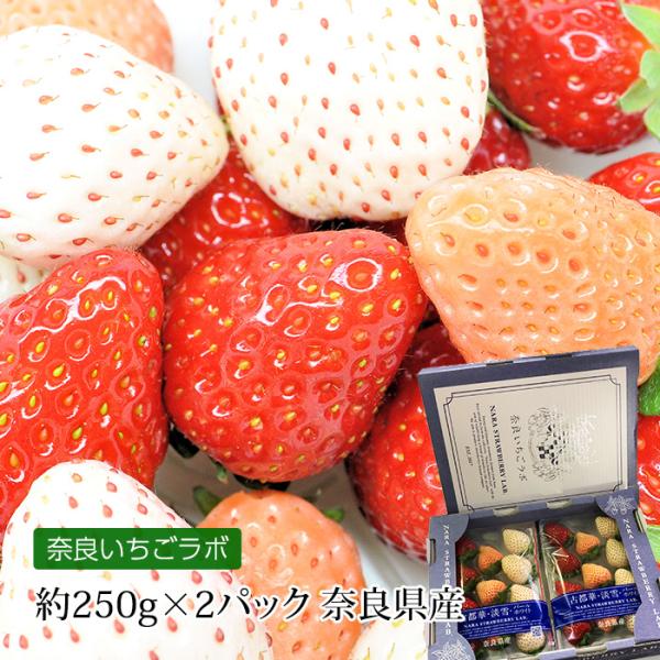 いちご 奈良県産 三色いちご（パールホワイト・淡雪・古都華） 約250g×2パック