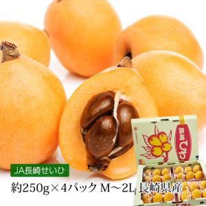 びわ 長崎県産 長崎びわ 約250g×4パック M〜2Lサイズ ハウス栽培