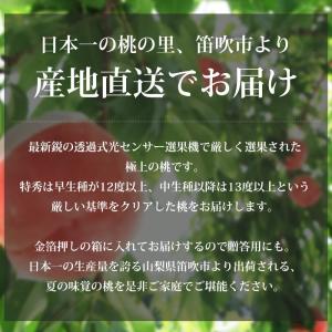 桃 一宮 匠の桃 山梨県産 特秀品 約1.5k...の詳細画像1