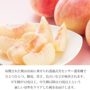 桃 一宮 匠の桃 山梨県産 特秀品 約1.5k...の詳細画像2