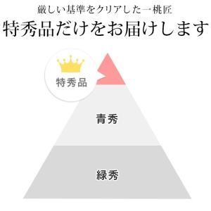 桃 一宮 匠の桃 山梨県産 特秀品 約1.5k...の詳細画像3
