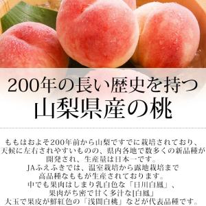 桃 一宮 匠の桃 山梨県産 特秀品 約1.5k...の詳細画像4