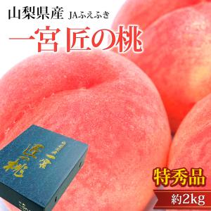 鹿児島県より産地直送 JAそお鹿児島 パッションフルーツ 2Lから3L