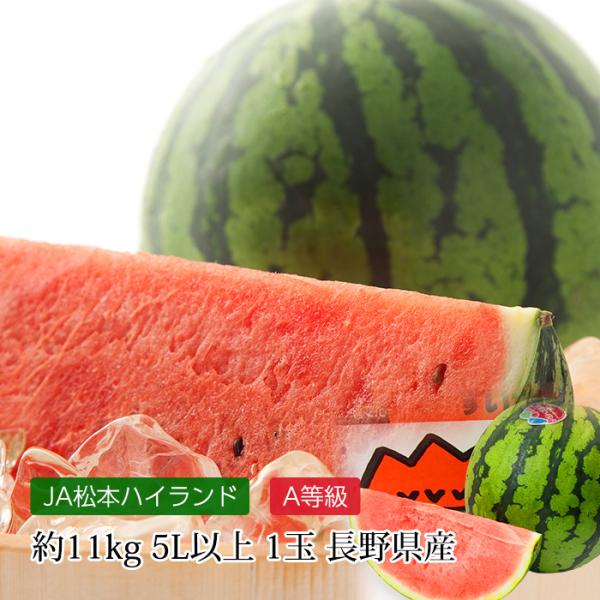 すいか 松本ハイランドすいか 長野県産 A等級 5Lサイズ以上 約11kg 1玉 爆買