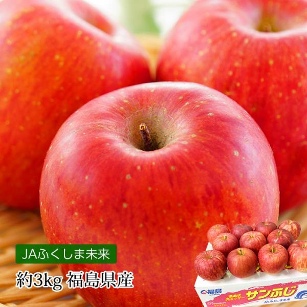 りんご JAふくしま未来のりんご 福島県産 約3kg 8〜10玉
