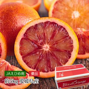 オレンジ 愛媛県産 ブラッドオレンジ 優品 約5kg 20〜45玉