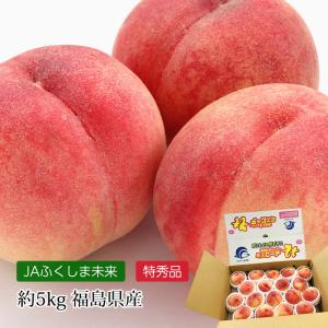 桃 福島県産 ミスピーチ 特秀品 約5kg 13〜22玉