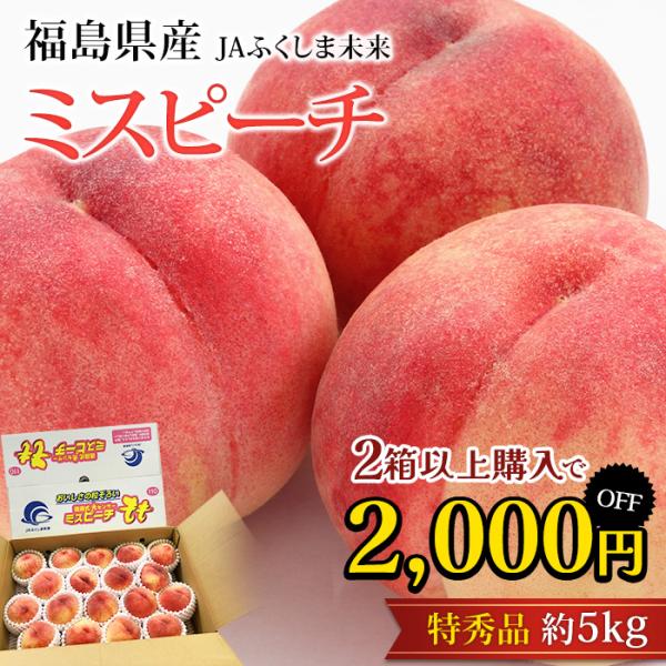 2箱以上ご購入で2,000円OFF 桃 ミスピーチ 福島県産 特秀品 約5kg 13〜22玉 爆買