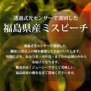 2箱以上ご購入で2,000円OFF 桃 ミスピ...の詳細画像1