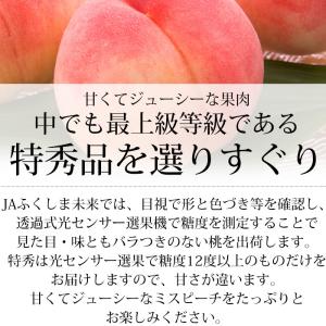 2箱以上ご購入で2,000円OFF 桃 ミスピ...の詳細画像2