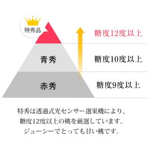 2箱以上ご購入で2,000円OFF 桃 ミスピ...の詳細画像3