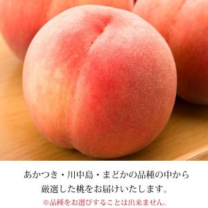 2箱以上ご購入で2,000円OFF 桃 ミスピ...の詳細画像4