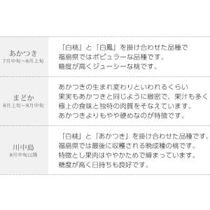 2箱以上ご購入で2,000円OFF 桃 ミスピ...の詳細画像5