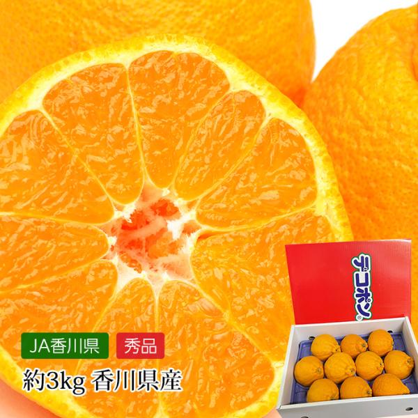 デコポン 熟成デコポン 香川県産 秀品 約3kg 7〜12玉 爆買
