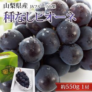 ぶどう ピオーネ 山梨県産 種なし 約550g 1房 露地栽培 爆買