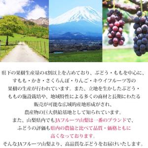 ぶどう ピオーネ 山梨県産 種なし 約550g...の詳細画像4