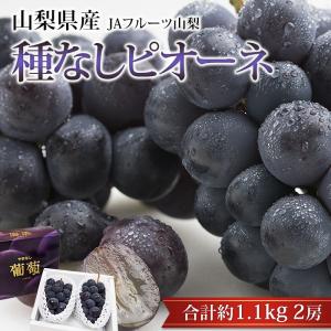 ぶどう ピオーネ 山梨県産 種なし 約1.1kg 2房 露地栽培 爆買