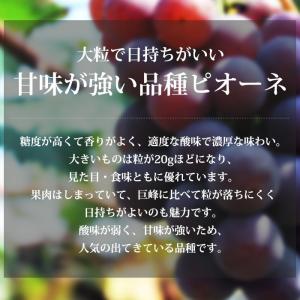 ぶどう ピオーネ 山梨県産 種なし 約1.1k...の詳細画像1