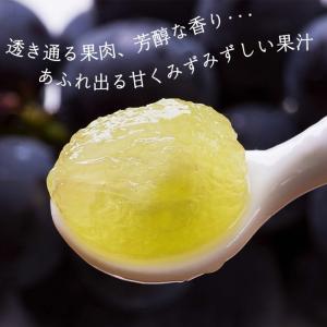 ぶどう ピオーネ 山梨県産 種なし 約1.1k...の詳細画像5