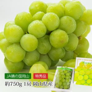 ぶどう マスカット・オブ・アレキサンドリア 岡山県産 特秀品 約750g 1房 爆買