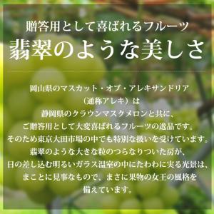 ぶどう マスカット・オブ・アレキサンドリア 岡...の詳細画像1