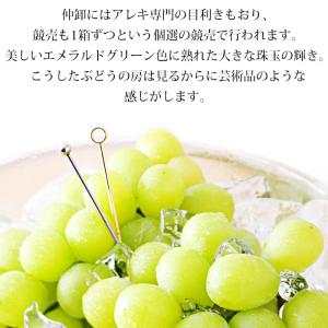 ぶどう マスカット・オブ・アレキサンドリア 岡...の詳細画像3