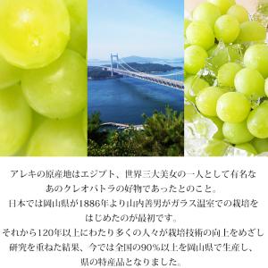 ぶどう マスカット・オブ・アレキサンドリア 岡...の詳細画像5